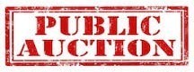 Belen Consolidated Schools Public Auction