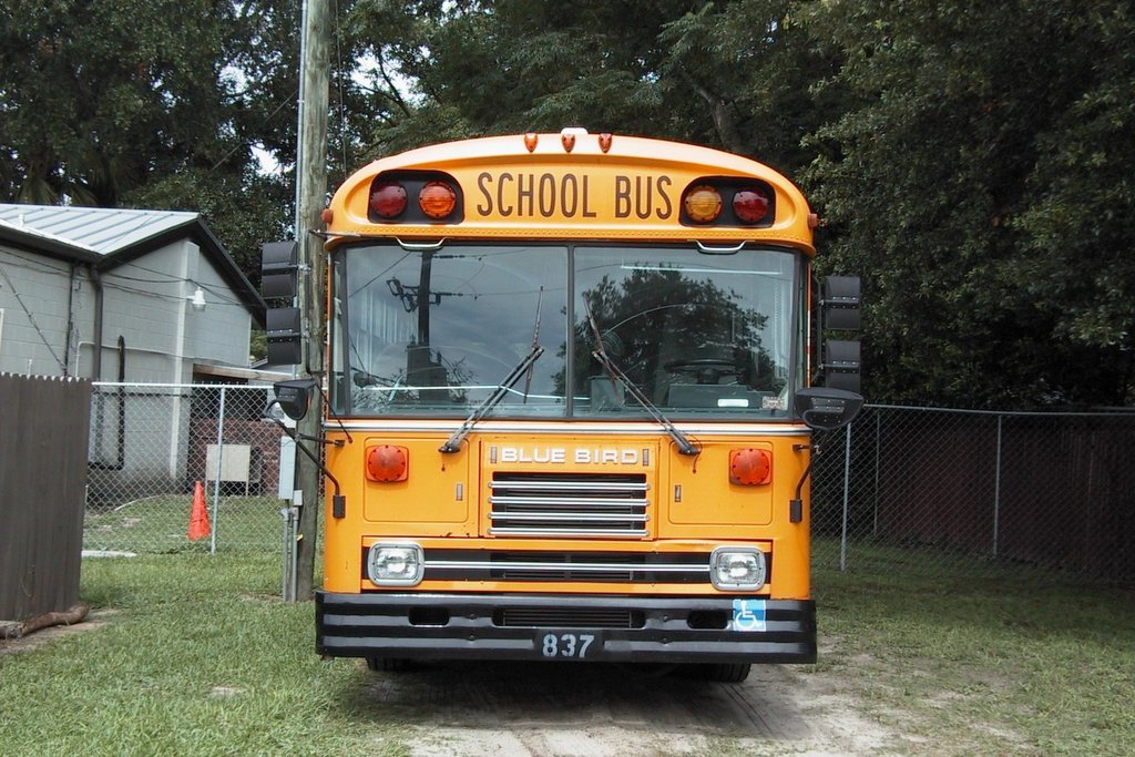 School bus,  lunch delivery